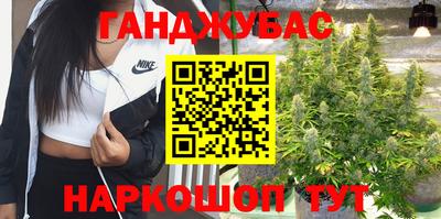 индика Ижевск