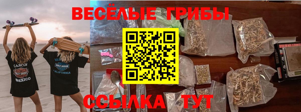 Псилоцибиновые грибы прущие грибы  Вход с VPN  Псилоцибиновые грибы GOLDEN TEACHER  купить наркоту  Городец 